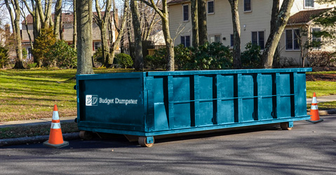 Roll Off Dumpster in Driveway