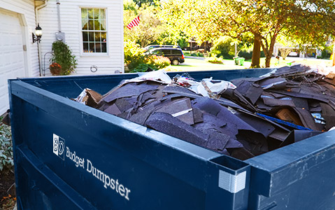 Roll Off Dumpster in Driveway