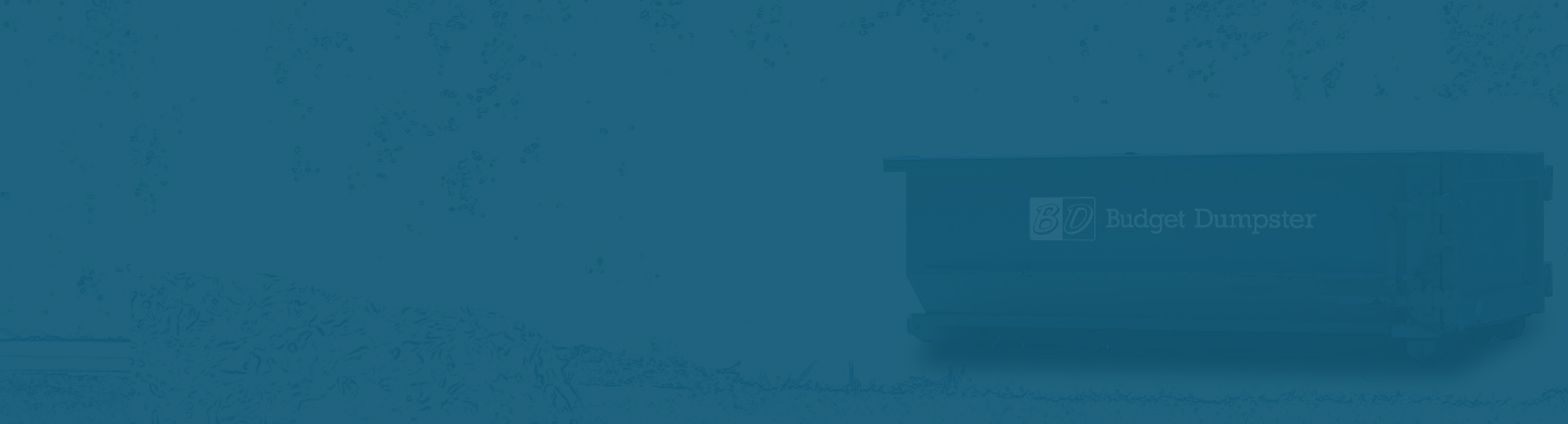 Blue Dumpster With Budget Dumpster Logo on Blueprint Background