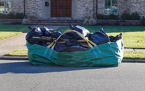 Dumpster Bag Sitting On Lawn