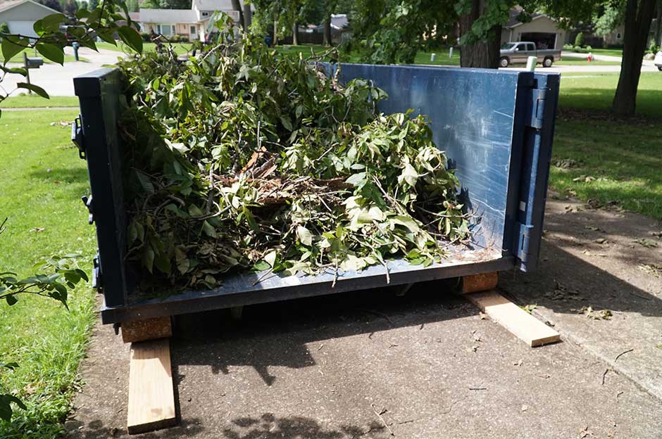 Dumpster With Landscaping Debris