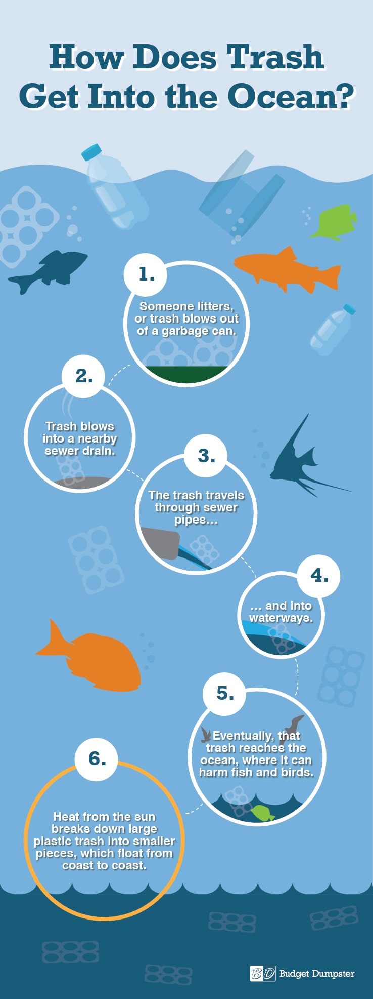 Infographic Showing How Trash Gets Into the Ocean