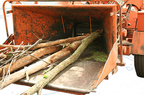 Wood Chipper Filled With Branches