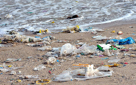 Litter lying on a beach waiting to be cleaned up.