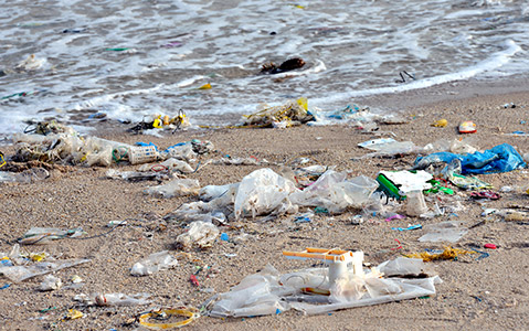 Litter lying on a beach waiting to be cleaned up.