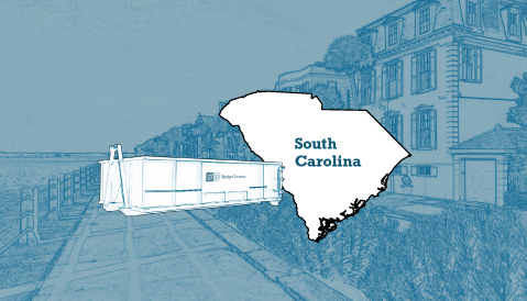 Outline of the State of Carolina and a Budget Dumpster Over an Illustrated Landscape Photograph