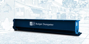 Blue Budget Dumpster Against White Background