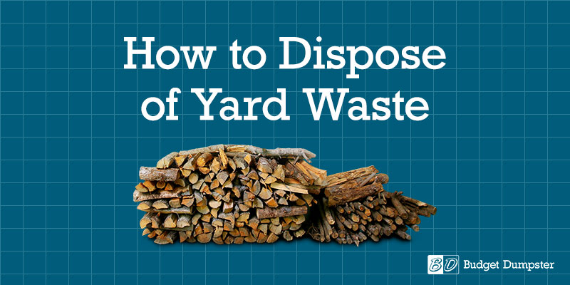 What NOT to Put in With Your Yard Waste - SCARCE